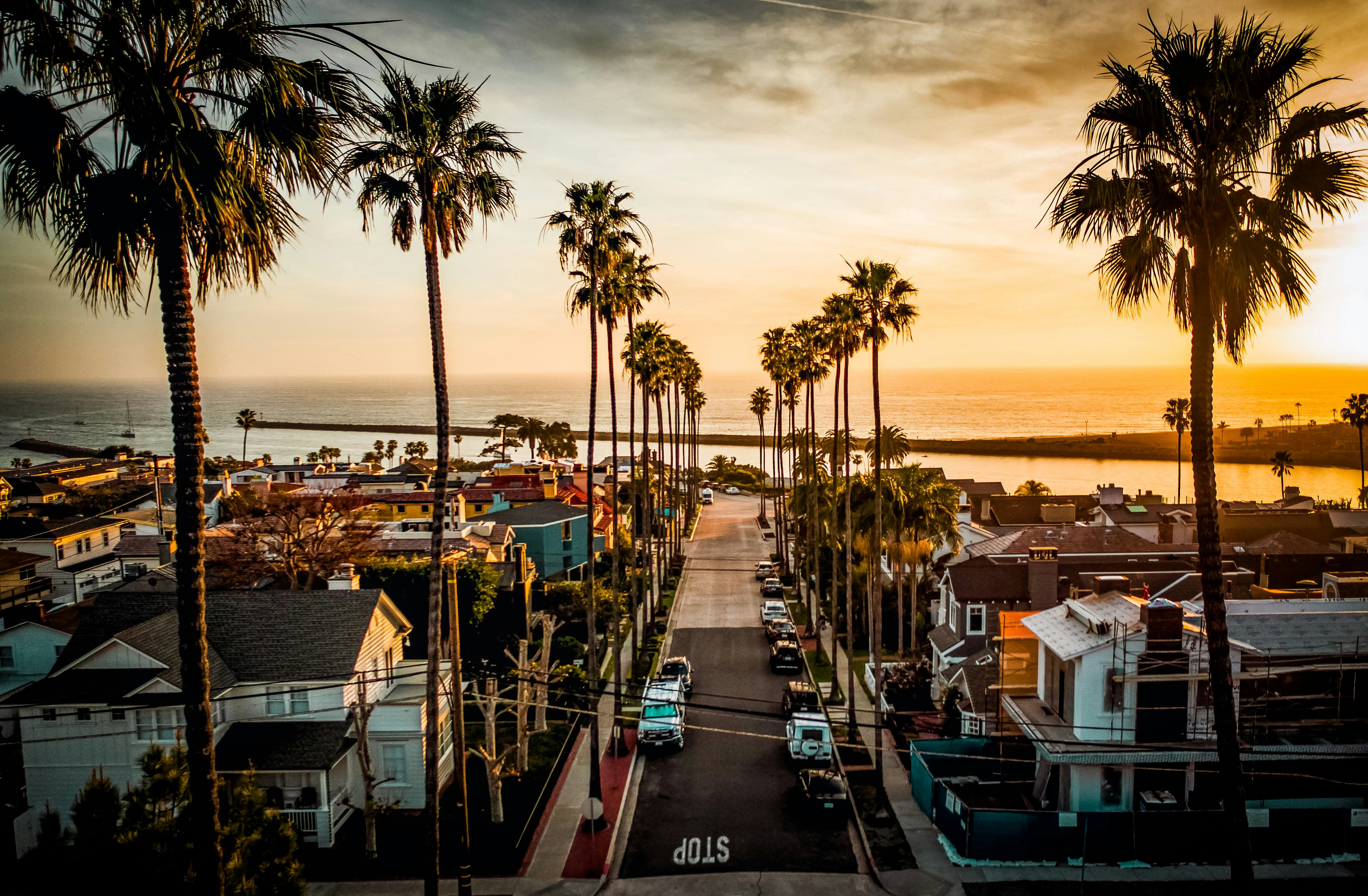 Newport